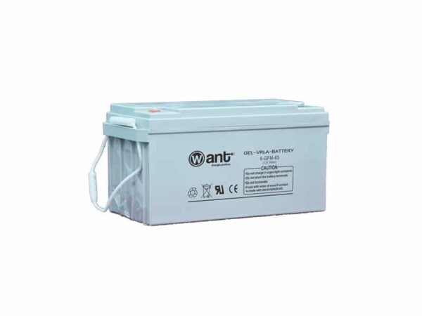 BATTERIAL GEL 65AH GFM