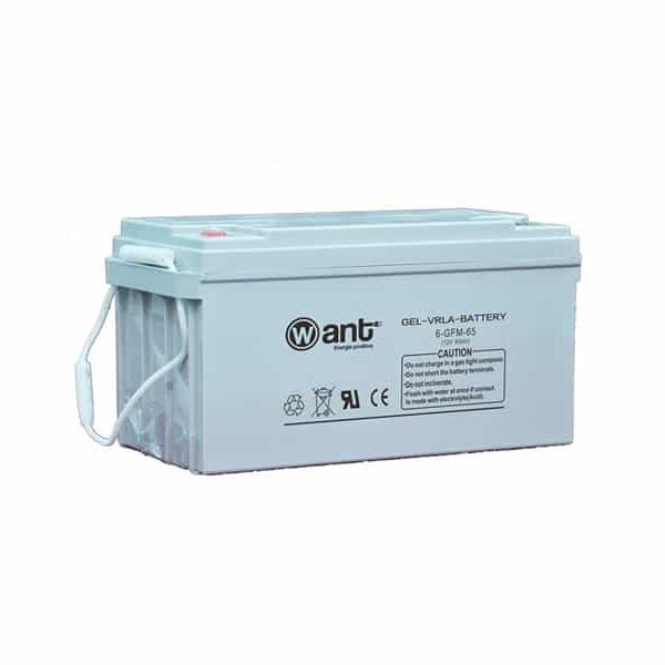 BATTERIAL GEL 65AH GFM